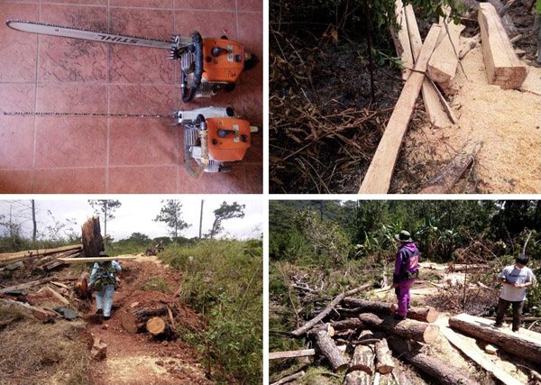 Two Tadian locals arrested, chainsaw seized in Sagada