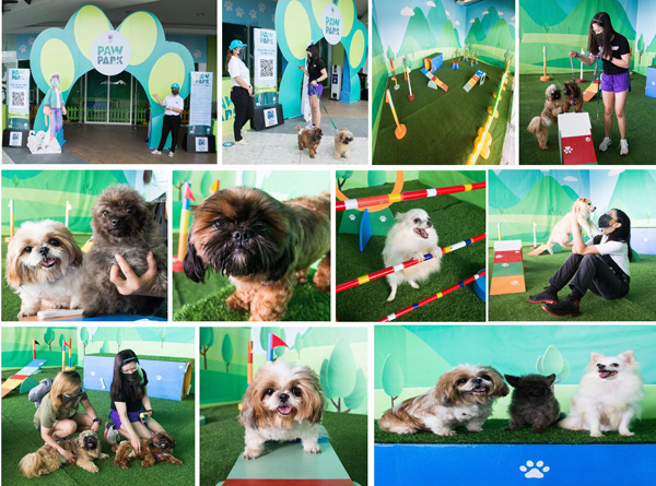 Have a Pet’s Day Out at SM City Baguio’s New Paw Park