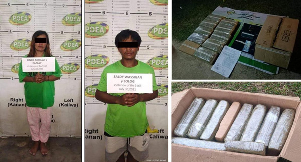 2 Drug peddlers busted, over 1.3-M Marijuana seized