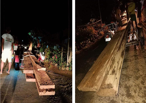 3 Individuals were arrested for illegal logging in Apayao