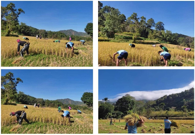 Abra COPS extend help to a farmer in Malibcong