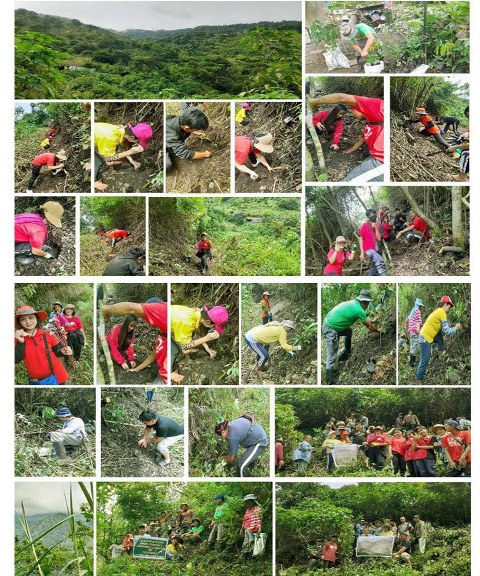 Sugalan Clan, Goldstream Small-Scale Miners nagsagawa ng tree planting