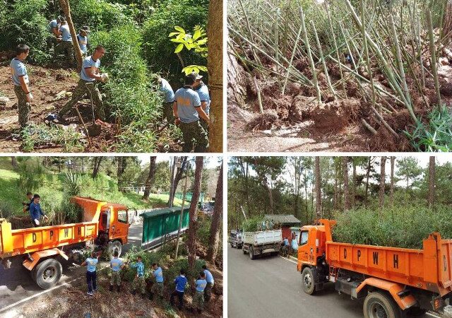 JHMC Donated Bamboo Propagules to Bontoc
