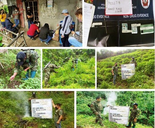 Laborer busted; P88K marijuana plants eradicated