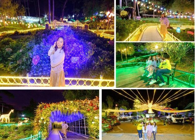 BOTANICAL GARDEN TURNS CHRISTMASSY