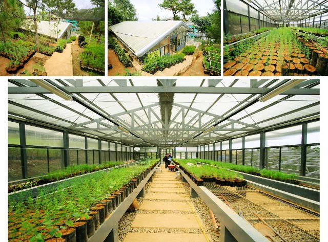 City model greenhouses