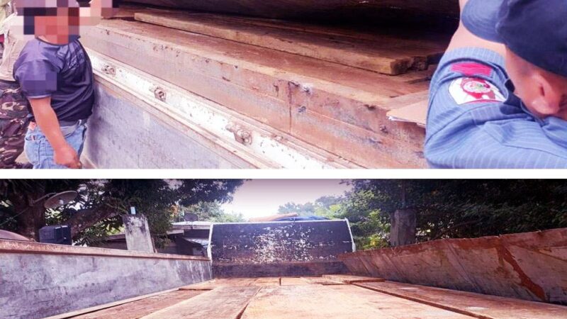 Illegally cut Narra flitches seized, 2 individuals arrested