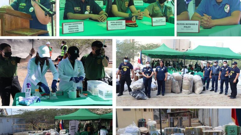 Over P127-M worth of illegal drugs destroyed