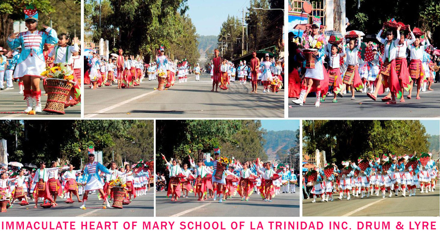 IMMACULATE HEART OF MARY SCHOOL OF LA TRINIDAD INC.