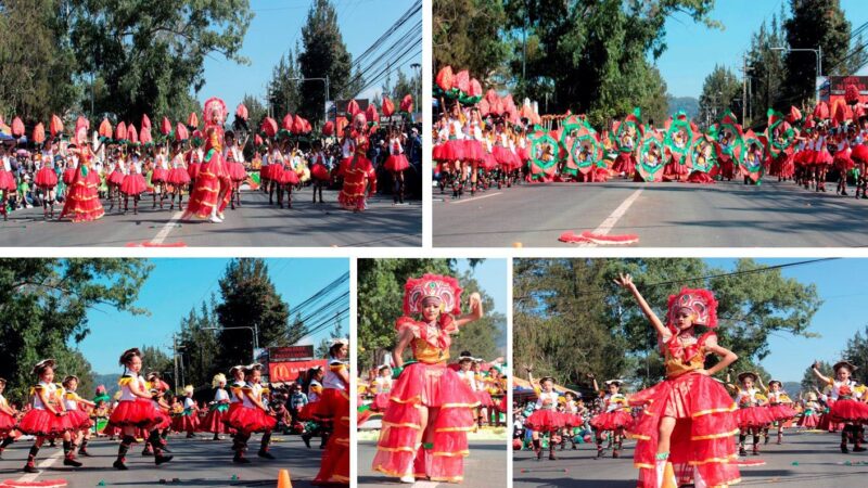 BUYAGAN ELEMENTARY SCHOOL DRUM AND LYRE