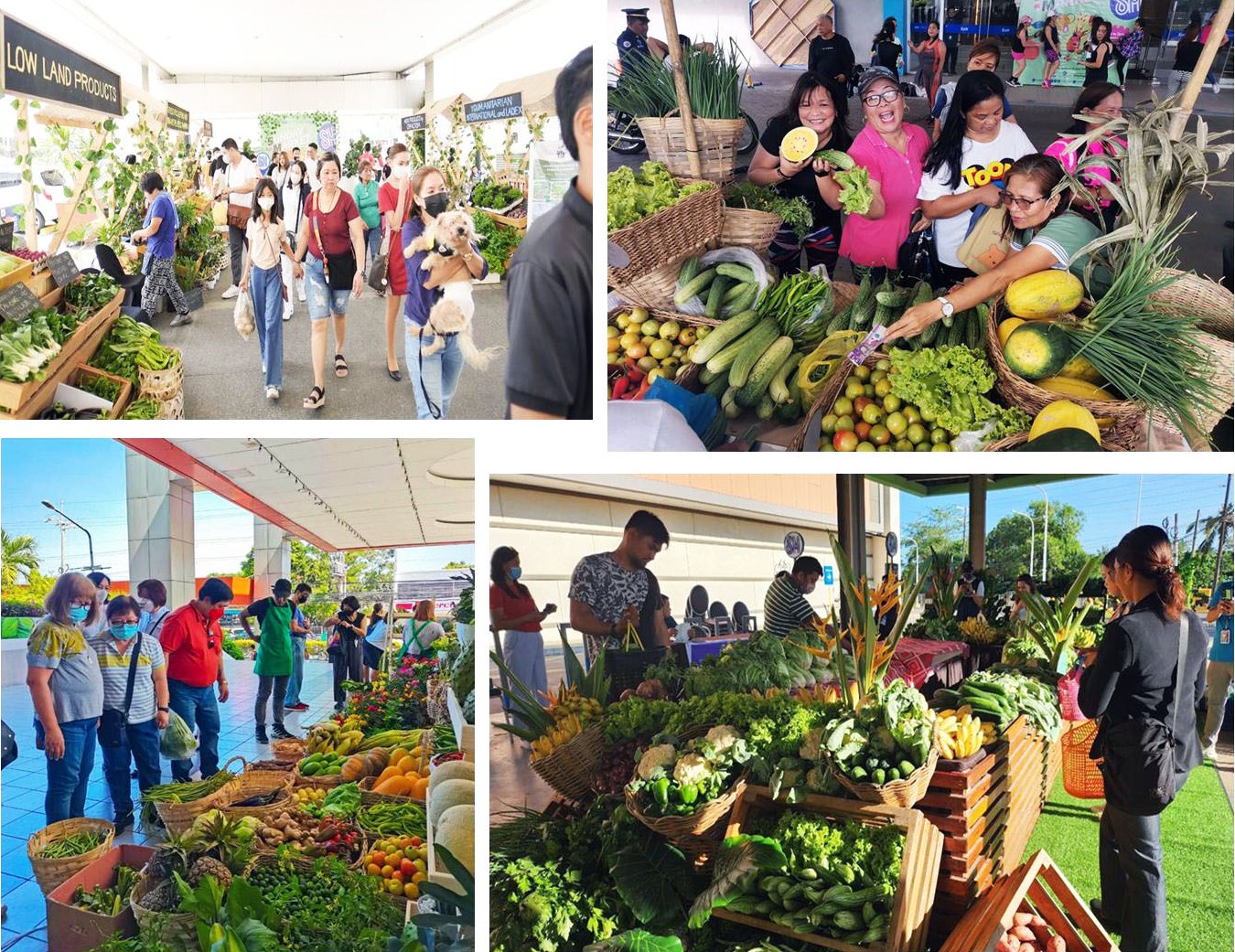 Bringing the Best of Farmers’ Harvests to You, at the SM Sunday Market