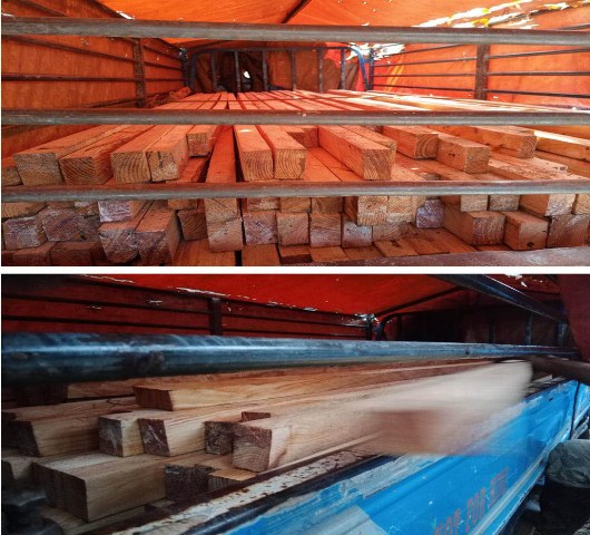 35K WORTH OF ILLEGALLY  SAWN PINE LUMBERS SEIZED IN BENGUET