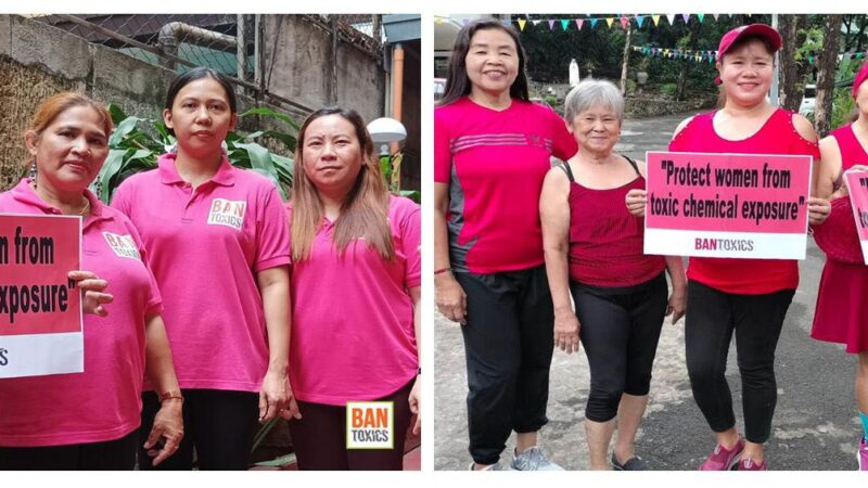 BAN Toxics cautions mothers against exposure to everyday toxins