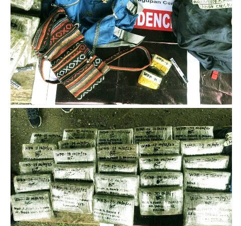 TRANSPORTATION OF P4.5M WORTH OF MARIJUANA INTERCEPTED IN KALINGA