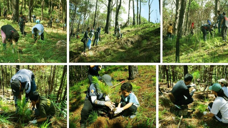 JHMC annual tree planting in celebration of Arbor Day