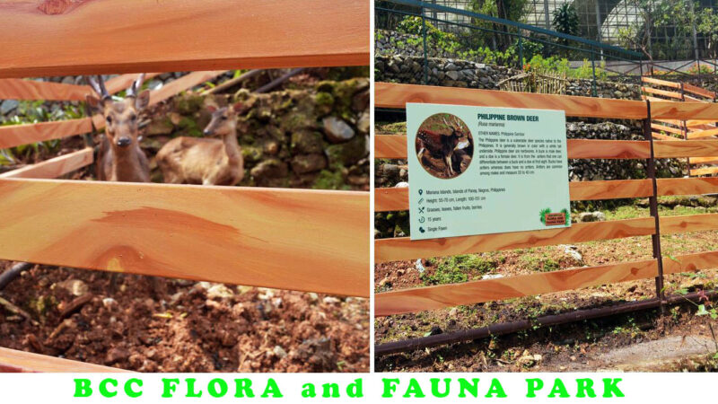 BCC’s Flora and Fauna Park opens