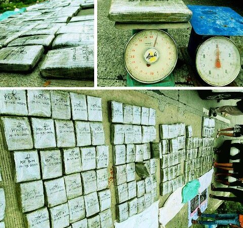 PRO CORDILLERA COPS NETS P20.6-M MARIJUANA IN A DAY OPS