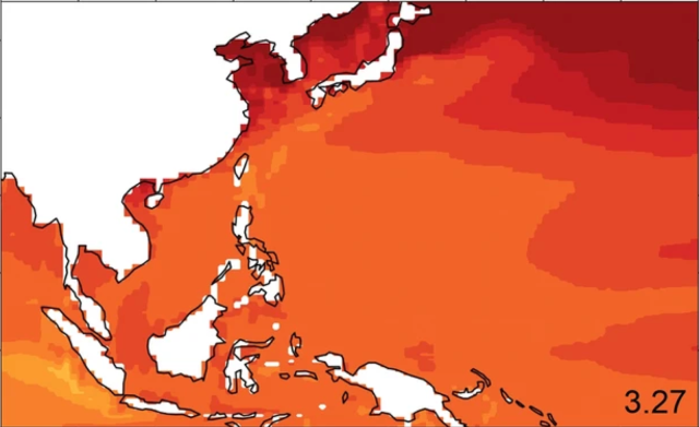 More intense typhoons to come this century, UP study warns