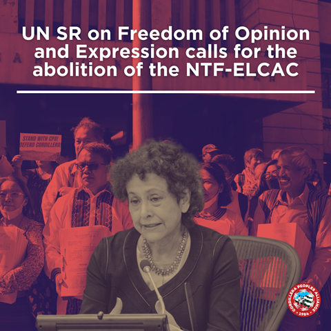 UN SR on Freedom of Opinion and Expression Calls for the Abolition of the NTF-ELCAC