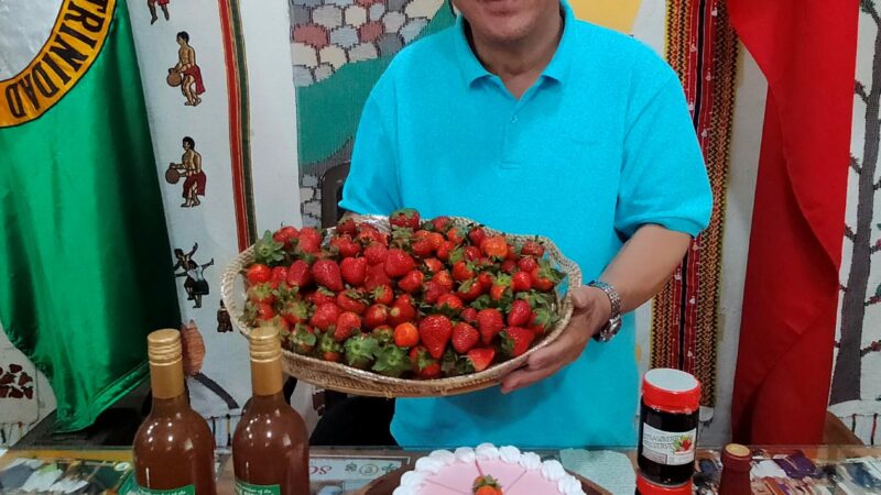 Strawberry Fest will begin with the opening & Ribbon Cutting of Strawberry Lane on March 4