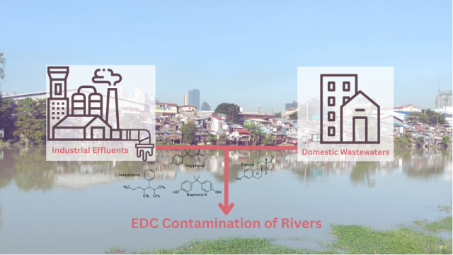 UPD Study Investigates Contaminants of Emerging Concern in Mega Manila Rivers