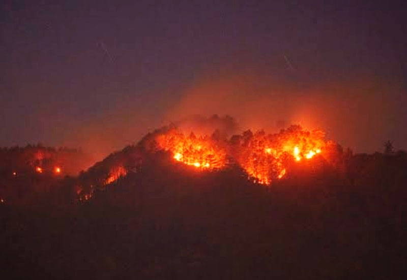 Yap seeks inquiry on forest fire management