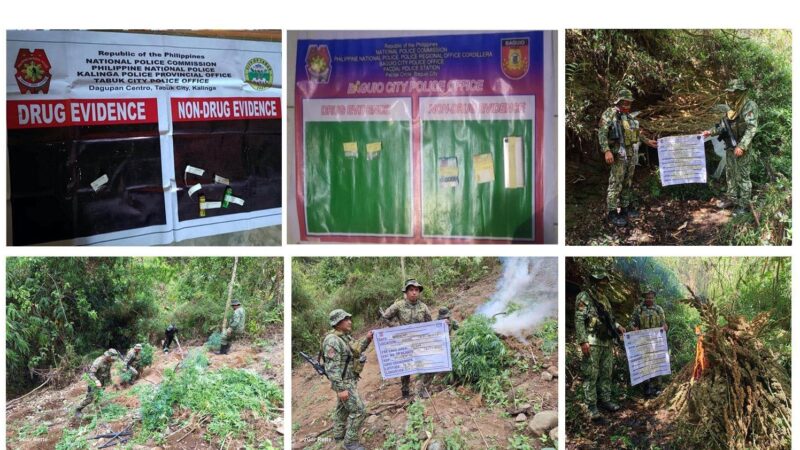 10 DRUG PERSONALITIES ARRESTED; OVER 15M OF ILLEGAL DRUGS SEIZED IN PRO CORDILLERA’S WEEKLONG OPS