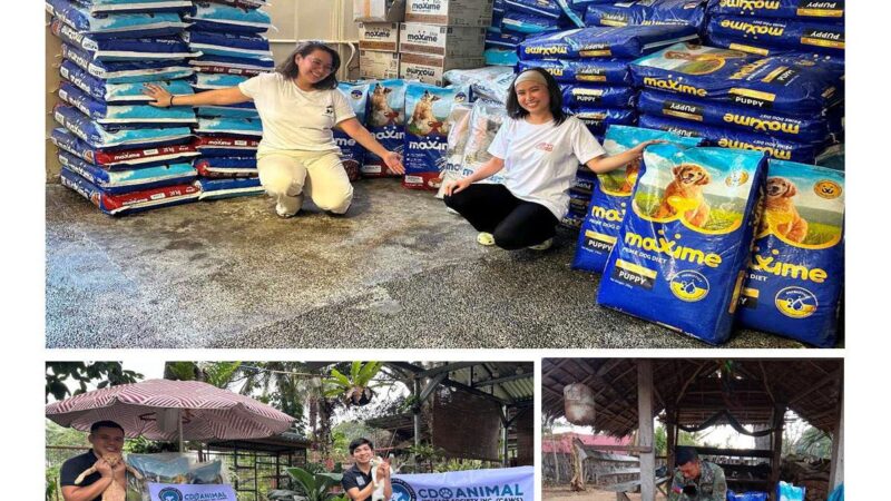 Bayanihan Spirit in Action: Pilmico and Animal shelters extend a helping paw