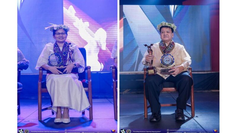 Two UPD College of Science Professors Win the NRCP Achievement Award