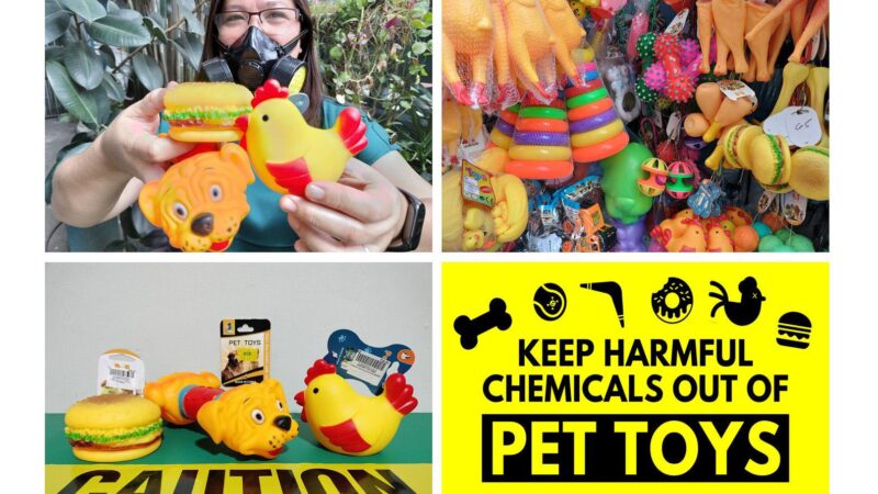 Squeaky Plastic Pet Toys Found Contaminated with Toxic Chemicals Banned in Children’s Toys