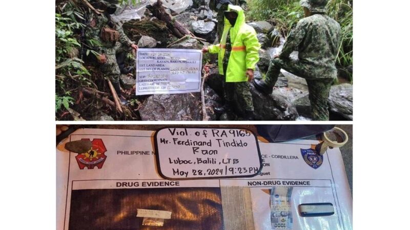 BENGUET COPS ARREST STREET-LEVEL DRUG PERSONALITY, DESTROY OVER P1.3M WORTH OF DRIED MARIJUANA