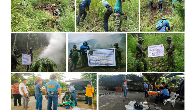 𝟰-𝗗𝗔𝗬 𝗣𝗢𝗟𝗜𝗖𝗘 𝗢𝗣𝗦 𝗬𝗜𝗘𝗟𝗗𝗦 𝗣𝟳.𝟲-𝗠 𝗪𝗢𝗥𝗧𝗛 𝗢𝗙 𝗜𝗟𝗟𝗘𝗚𝗔𝗟 𝗗𝗥𝗨𝗚𝗦 𝗔𝗡𝗗 𝗔𝗥𝗥𝗘𝗦𝗧 𝗦𝗘𝗩𝗘𝗡 𝗪𝗔𝗡𝗧𝗘𝗗 𝗣𝗘𝗥𝗦𝗢𝗡𝗦