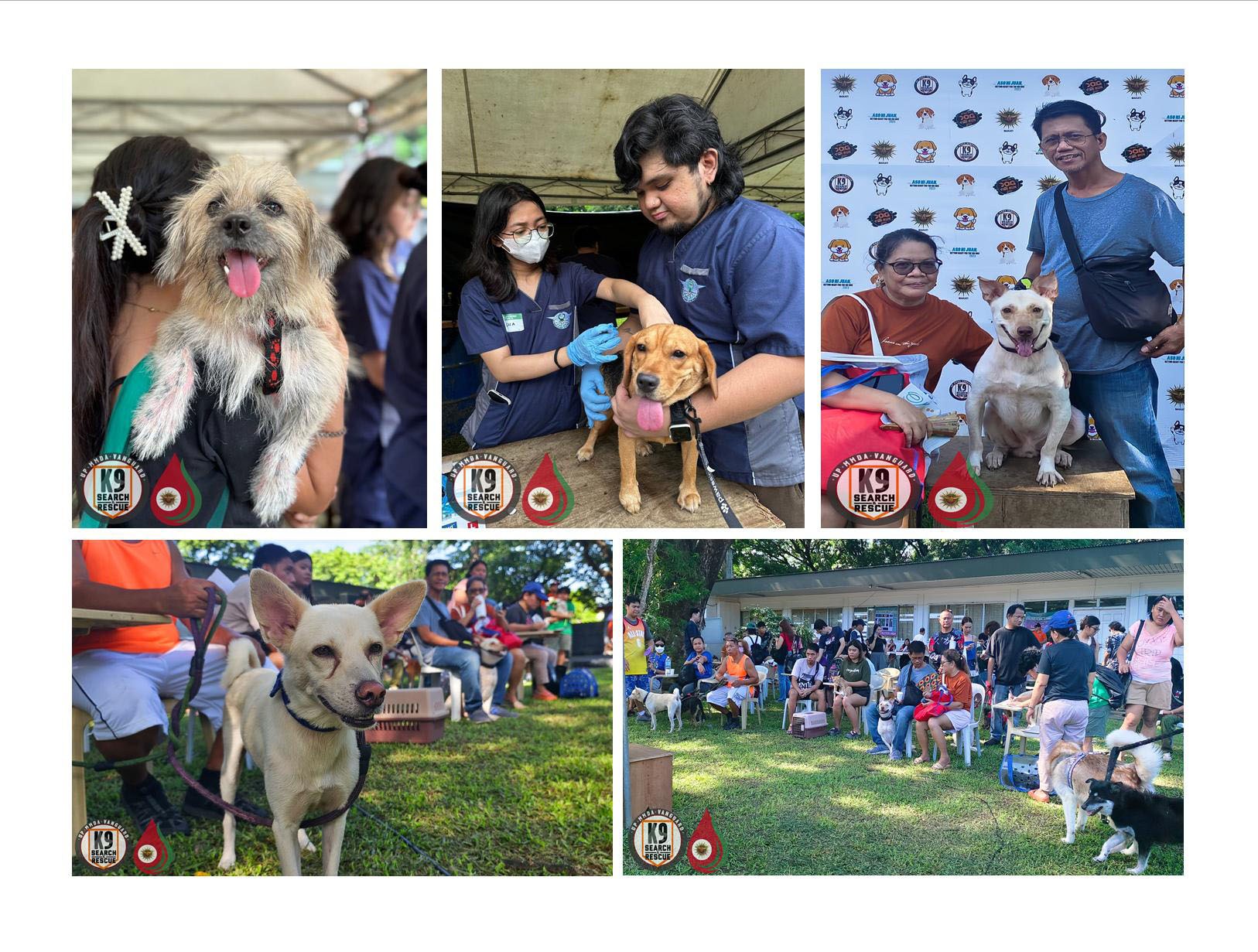 UPMV K9, Vanguard Makati push better health  for people and pets