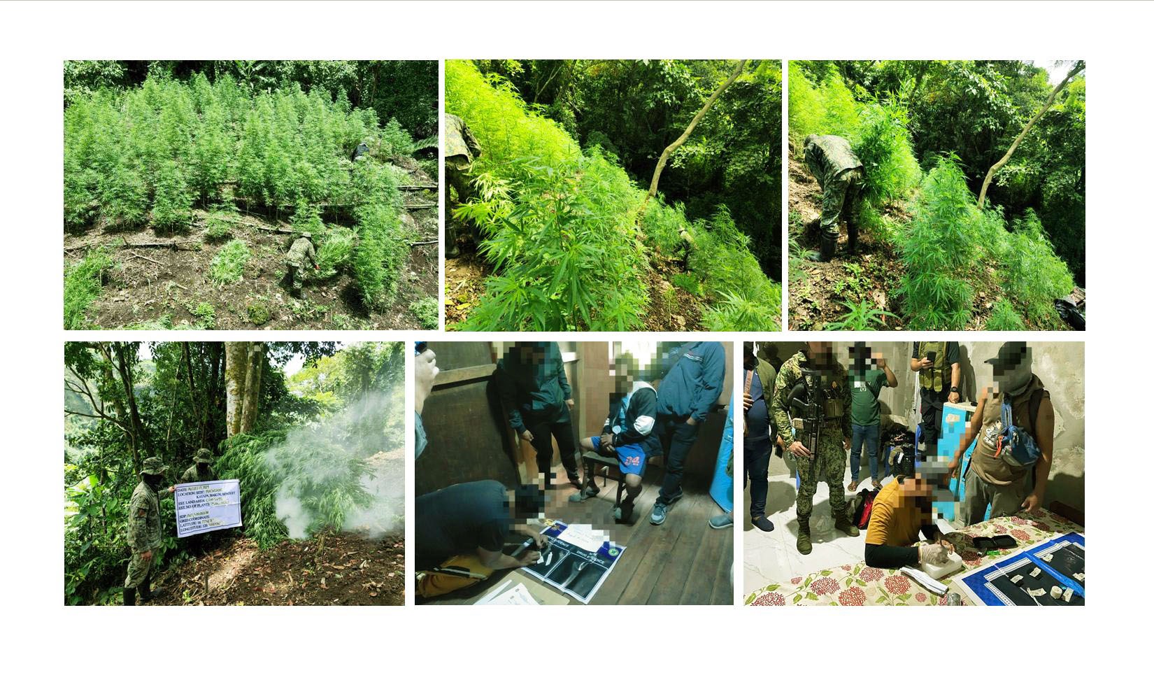 CORDI COPS NET P2.7M WORTH OF ILLEGAL DRUGS AND ARREST TWO IN DAY-LONG DRUG OPS