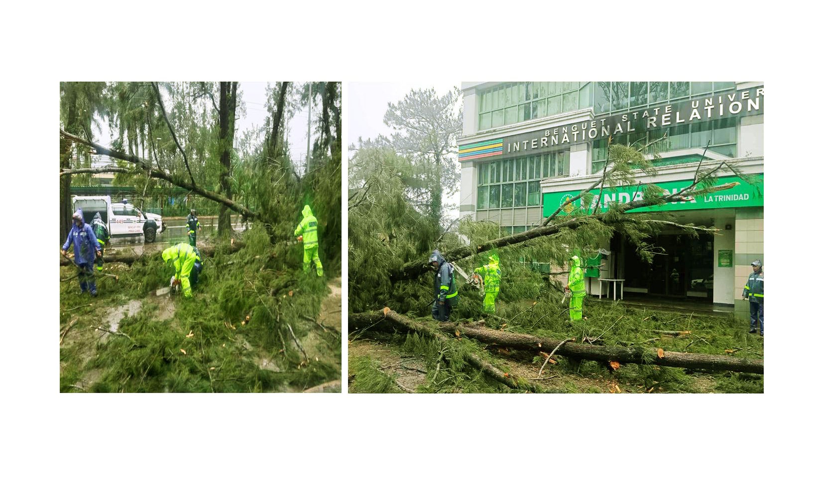 CLEARING OPERATION.