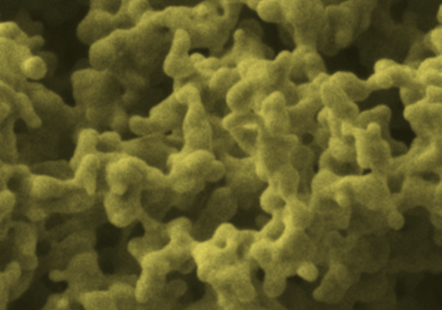 UP Scientists Introduce Eco-Friendly Way to Create Gold Nanocorals