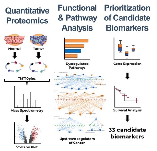 UP Study Identifies Potential Biomarkers for Early Lung Cancer Detection