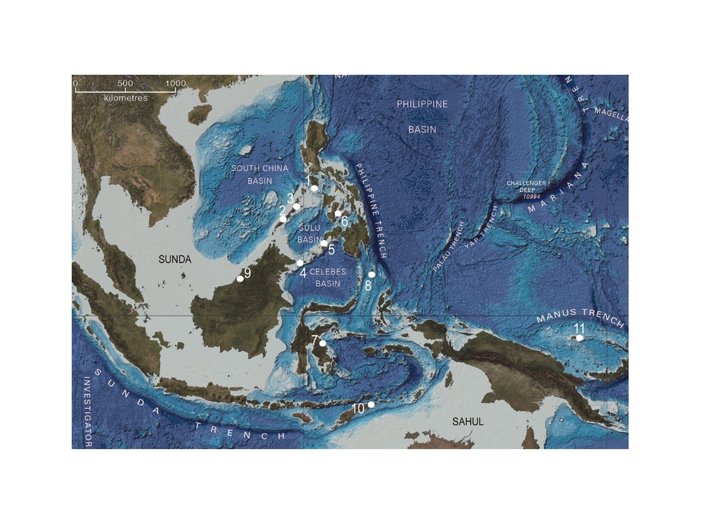 Philippine islands had technologically advanced maritime culture 35,000 years ago