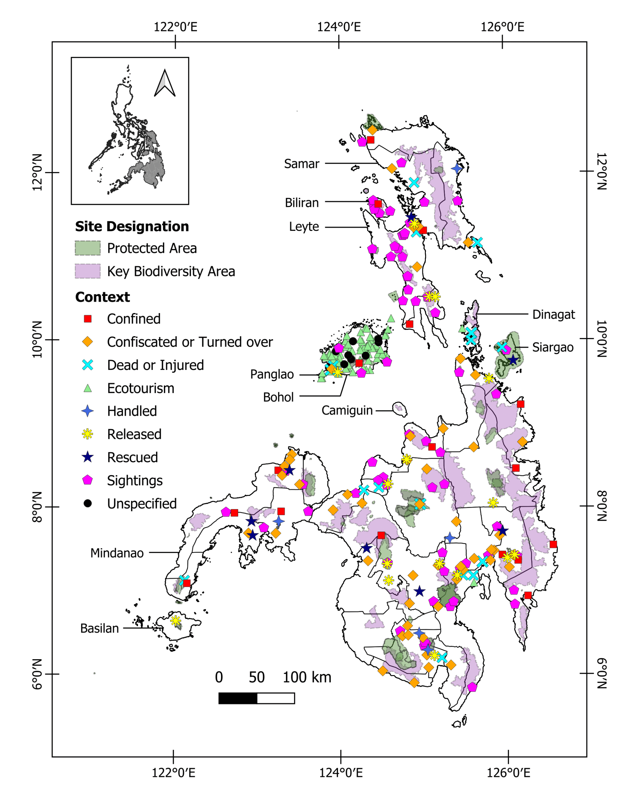 Recent UP Study Finds Social Media a Valuable Tool for Understanding Philippine Tarsiers