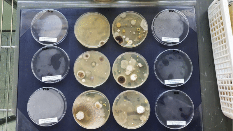 Study Proposes Framework Integrating Architectural Design Standards into Urban Microbiome Research