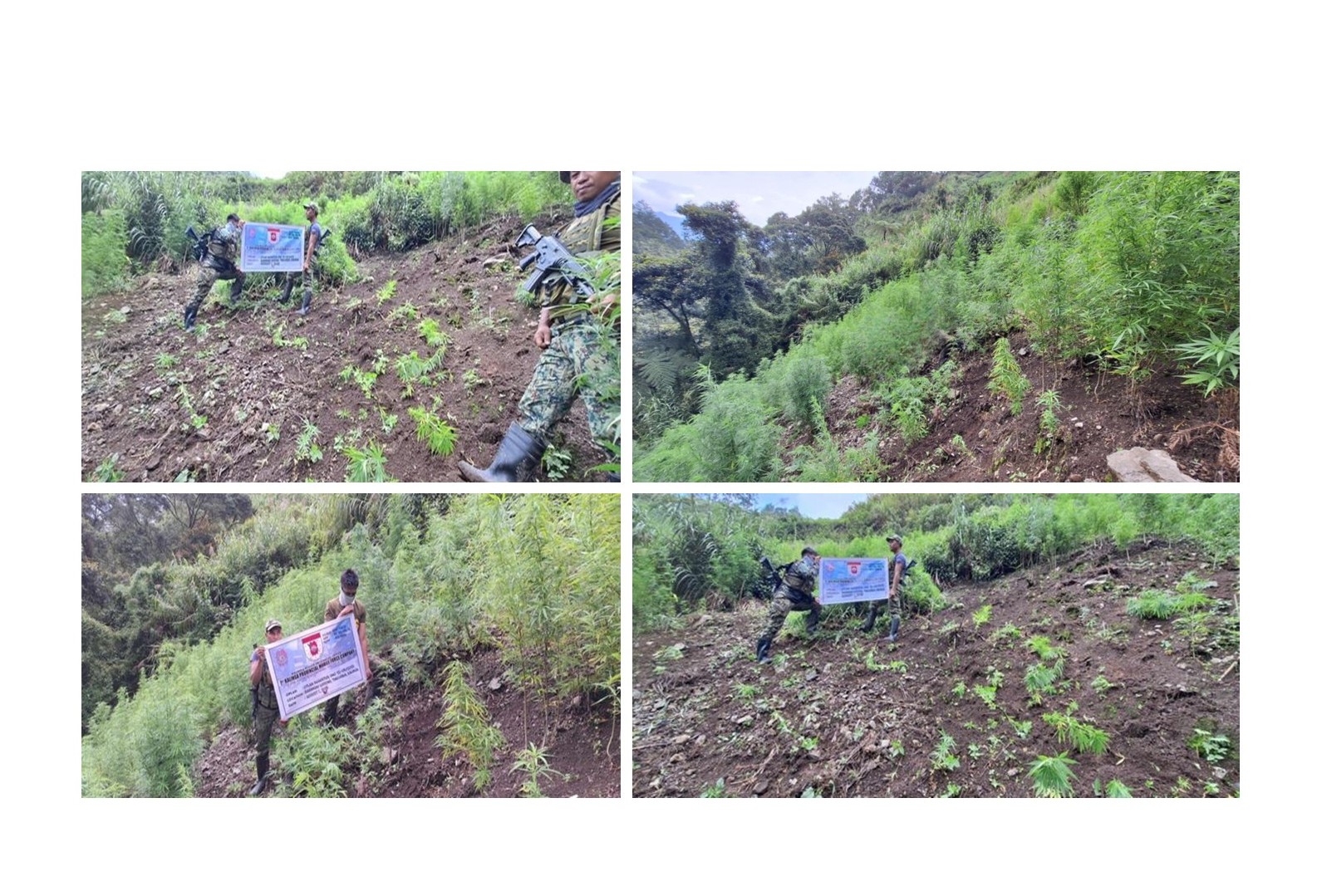 Isang Araw na pagpapatupad ng kampanya laban sa Iligal na Droga, naging matagumpay: Php.806K nA halaga ng Droga, nasamsam, isang suspek, arestado