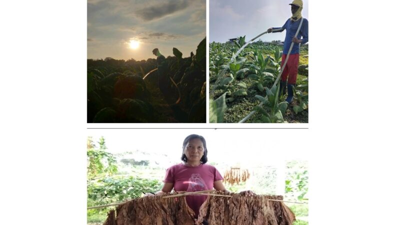 “Seeds of Hope: A Farmer’s Unwavering Promise”
