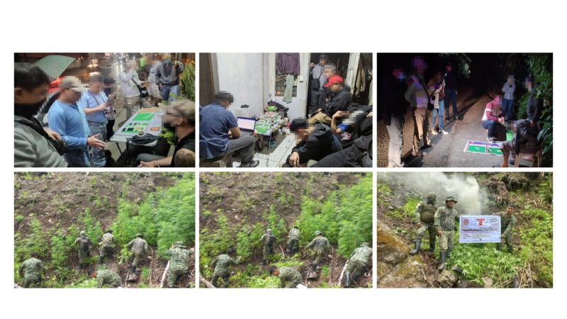 PRO CAR’s Month-long Drug Ops Yield over P33-M worth of Illegal Drugs; 35 Drug Personalities Arrested