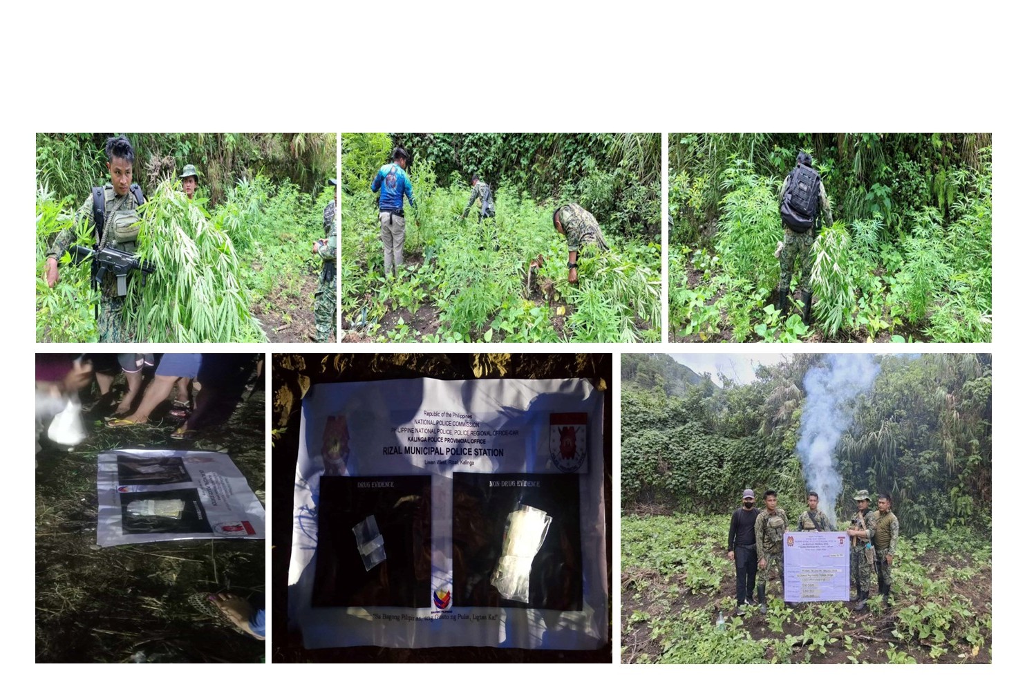 MAHIGIT P1.6 MILYONG HALAGA NG MARIJUANA, SINUNOG; ISANG DRUG PERSONALITY, ARESTADO SA KALINGA