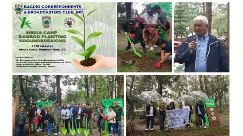 BCBC starts renovating Media Camp