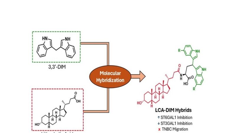 UP Chemists Synthesize New Hybrid Molecules That Limit Cancer Cell Spread