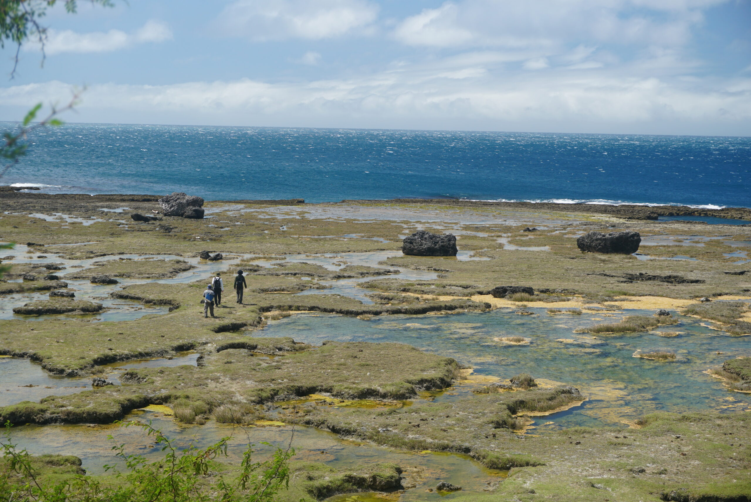 UP Study Traces Extreme Waves through Ancient Coastal Boulders