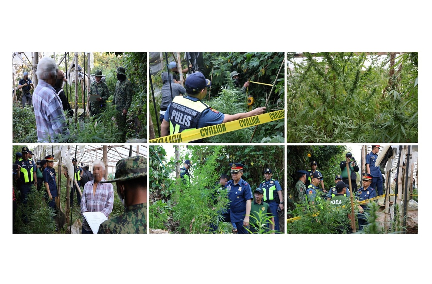 PRO CAR SEARCH WARRANT OPERATION YIELDS MARIJUANA GREENHOUSE IN TUBLAY