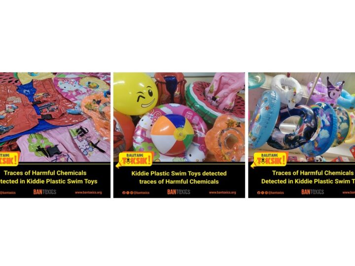 Toxics Watchdog Reminds Consumers to Choose Safe Swimming Floater Toys for Kids