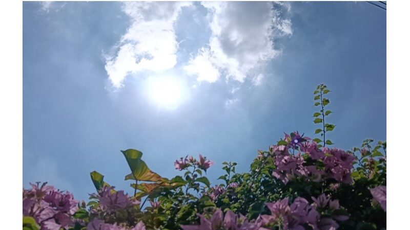 EcoWaste Coalition Shares Tips to Manage Heat as Mercury Rises